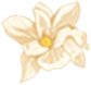 微信图片2.png 微信图片2.png