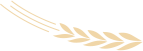 微信图片4.png 微信图片4.png