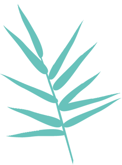 640 (2).png 640 (2).png
