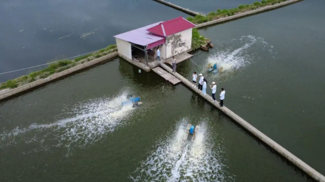 1115.png 1115.png
