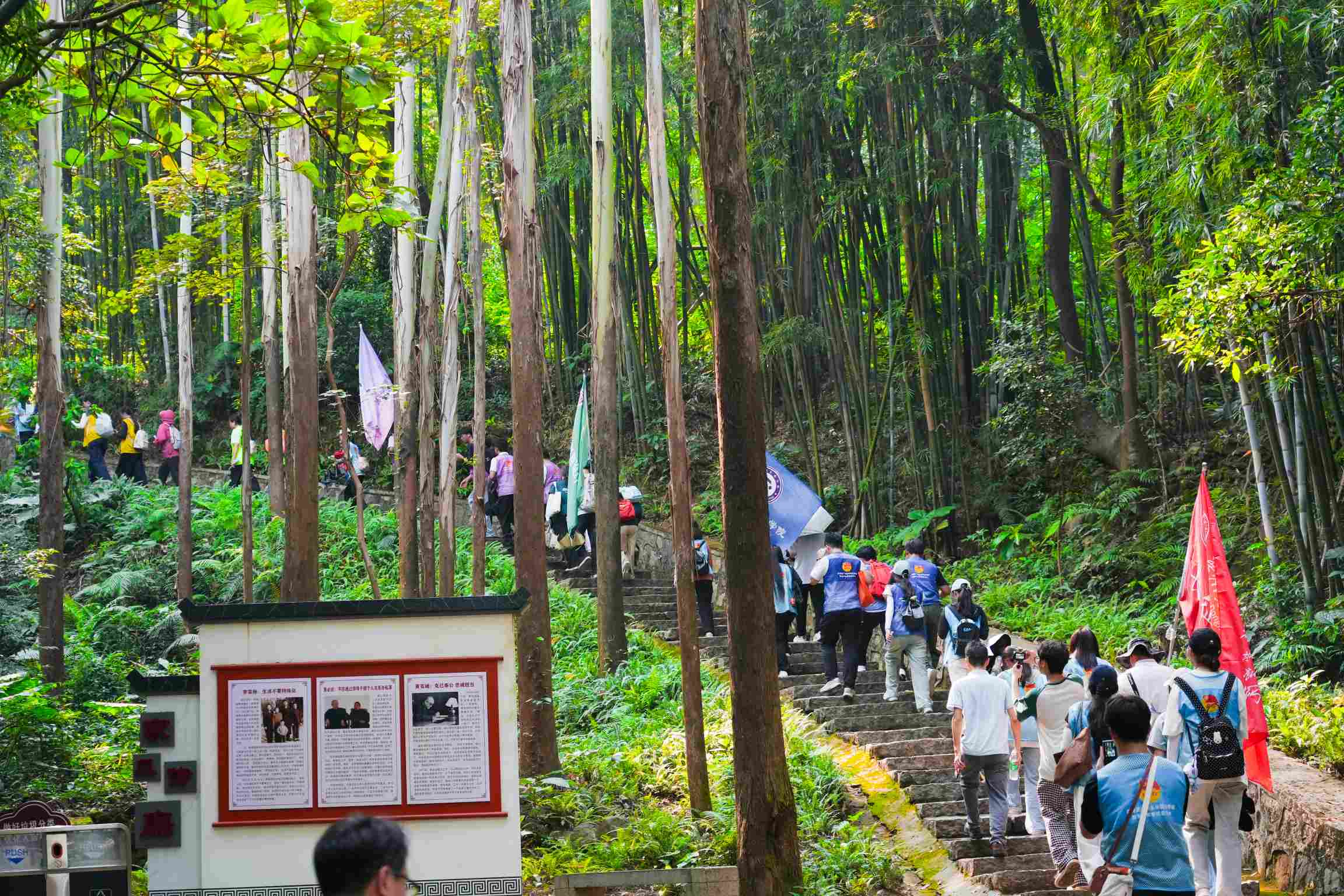 长征-8(1).jpg